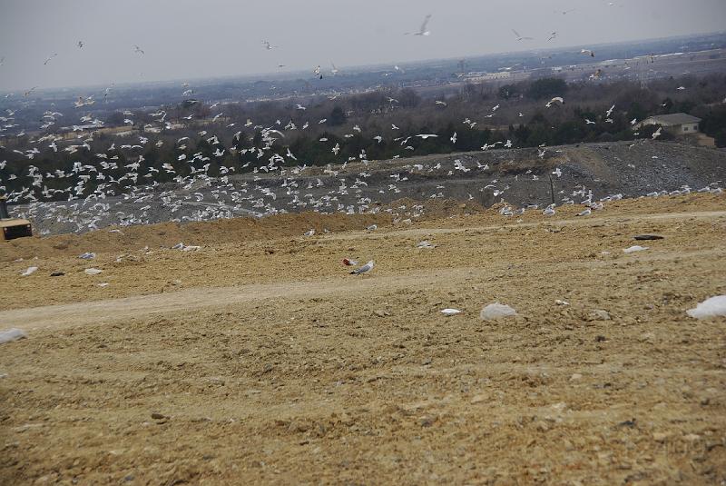 012409 Waco Landfill 001.jpg
